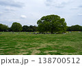 原っぱにある大きな木 138700512