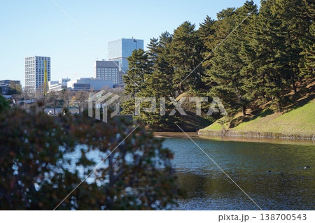 お堀の水面と松の木越しに見える東京の近代的なビル群 138700543