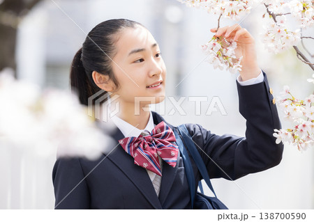 学生 桜の下を歩く女子高生 学生 桜の下を歩く女子高生 138700590