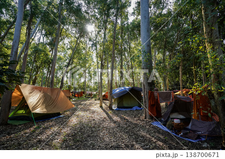Forest tents, hanging robes and shaded paths create a clear retreat backdrop. The natural scene suits meditation and religion content. Forest tents, hanging robes and shaded paths create a clear retreat backdrop. The natural scene suits meditation and religion content. 138700671