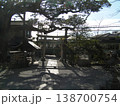 鳥居の向こう側 138700754