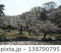 桜の森 138700795