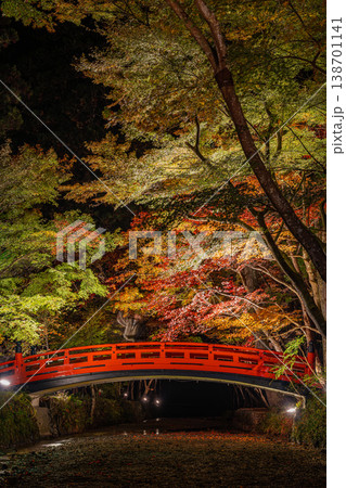 森町の遠江国一宮小國神社の紅葉の風景(静岡県) 森町の遠江国一宮小國神社の紅葉の風景(静岡県) 138701141