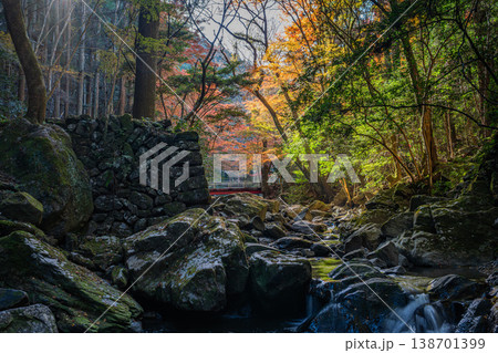 岡崎市のくらがり渓谷の風景(愛知県) 岡崎市のくらがり渓谷の風景(愛知県) 138701399