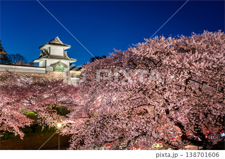 金沢城の夜桜 ブルーモーメントに浮かび上がる石川門と美しい夜桜 138701606