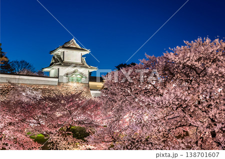 金沢城の夜桜 ブルーモーメントに浮かび上がる石川門と美しい夜桜 138701607