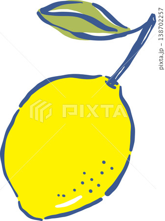 Hand drawn Lemon with Stem and Leaf Whimsical Doodle Hand drawn Lemon with Stem and Leaf Whimsical Doodle 138702257