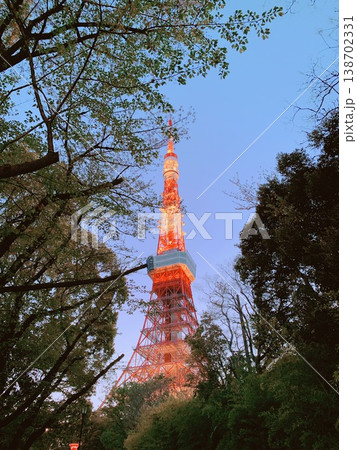 木々から覗く東京タワー 138702331