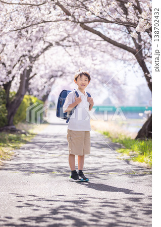 桜の下を歩く小学生 138702432