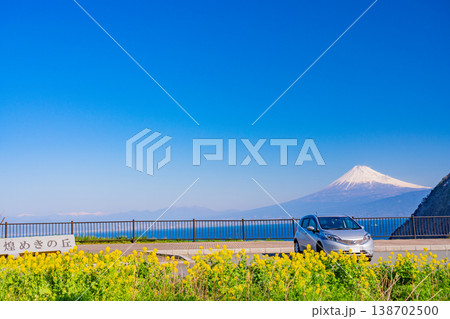 （静岡県）名の花咲く、煌めきの丘から望む富士山 138702500