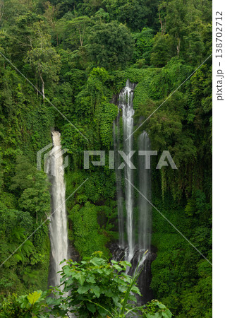 Balis waterfalls flow through lush, vibrant forests Balis waterfalls flow through lush, vibrant forests 138702712