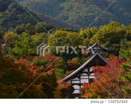 天龍寺 庫裏 紅葉 天龍寺 庫裏 紅葉 138702926