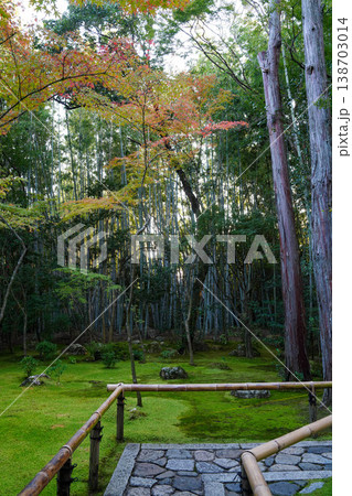 大徳寺高桐院のアプローチ 大徳寺高桐院のアプローチ 138703014