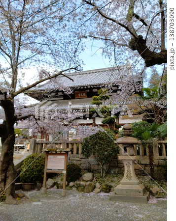 桜が満開になった有馬・温泉寺の山門 桜が満開になった有馬・温泉寺の山門 138703090