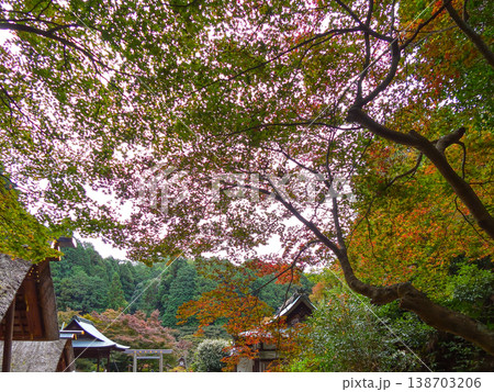 日向大神宮(京の伊勢)紅葉 日向大神宮(京の伊勢)紅葉 138703206