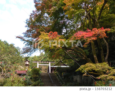 日向大神宮(京の伊勢)三の鳥居 紅葉 日向大神宮(京の伊勢)三の鳥居 紅葉 138703212