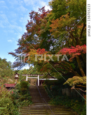 日向大神宮(京の伊勢)三の鳥居 紅葉 日向大神宮(京の伊勢)三の鳥居 紅葉 138703213