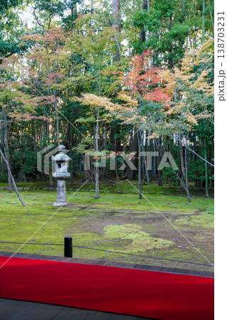 緋毛銭が惹かれた縁側から見た苔むした庭園 138703231