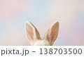 うさぎの柔らかな耳を捉えたクローズアップ 138703500