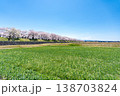 青空と草原に続く桜並木の春景色 青空と草原に続く桜並木の春景色 138703824