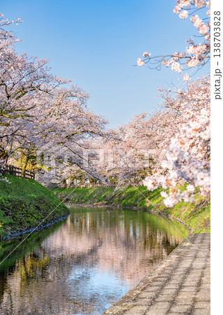 川面に映る桜並木の春の風景 川面に映る桜並木の春の風景 138703828