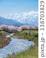 雪山と桜並木が続く春の清流風景 雪山と桜並木が続く春の清流風景 138703829