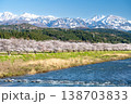 川沿いに続く桜並木と雪山の春景色 川沿いに続く桜並木と雪山の春景色 138703833