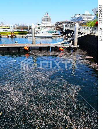 桜の花びらが漂う横浜の港（神奈川県横浜市中区海岸1丁目） 138704025
