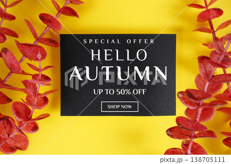 Hello Autumn Sale 50% off with red eucalyptus leaves on pink background Promotion Offer Discount Retail Shopping Concept Hello Autumn Sale 50% off with red eucalyptus leaves on pink background Promotion Offer Discount Retail Shopping Concept 138705111