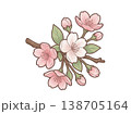 桜の花のイラスト（手描き風・透過PNG） 138705164