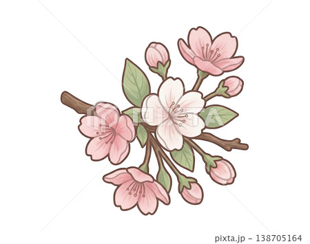 桜の花のイラスト(手描き風・透過PNG) 桜の花のイラスト(手描き風・透過PNG) 138705164