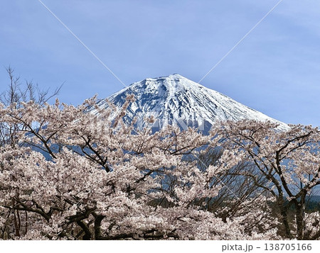 富士山と桜 富士山と桜 138705166