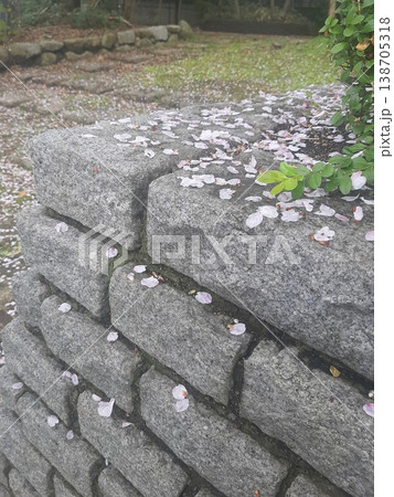 石段に散った桜の花びら 石段に散った桜の花びら 138705318
