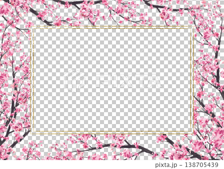 Cherry blossom golden frame. Blooming sakura tree branch pink flowers, buds gold framed. Hand drawn watercolor illustration. Spring template isolated from background for Hanami greeting cards print. Cherry blossom golden frame. Blooming sakura tree branch pink flowers, buds gold framed. Hand drawn watercolor illustration. Spring template isolated from background for Hanami greeting cards print. 138705439