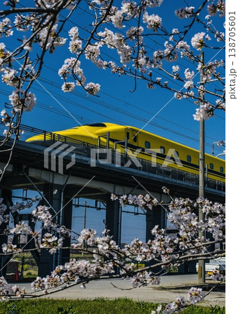 ドクターイエローin桜フレーム 縦バージョン 138705601