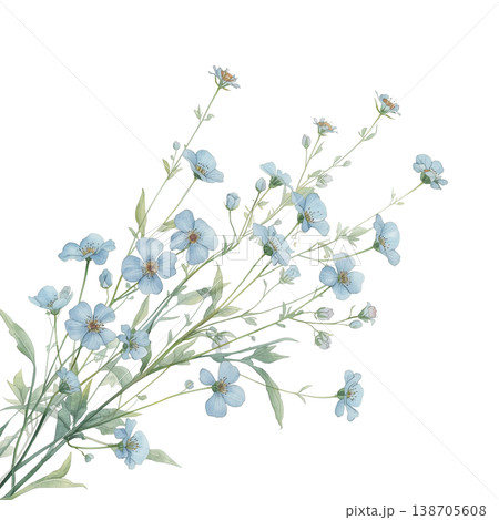 青いネモフィラの花束風ボタニカルイラスト 水彩風フラワー素材 138705608
