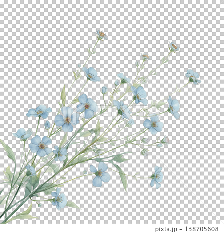 藍色粉蝶花花束風格的植物插圖，水彩風格花卉素材 138705608
