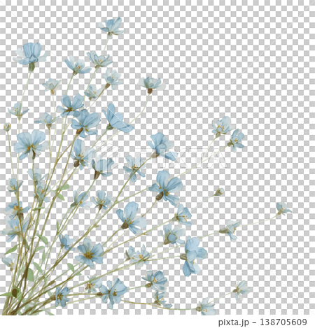 藍色粉蝶花花束風格的植物插圖，水彩風格花卉素材 138705609
