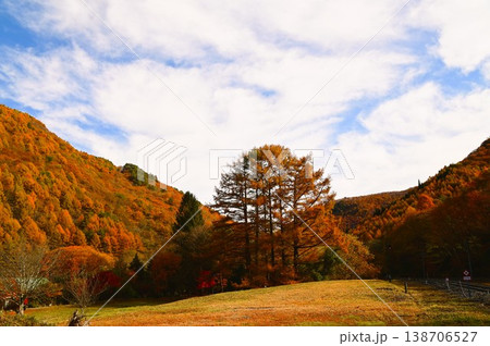 秋のJR釜石線(銀河ドリームライン釜石線)足ヶ瀬駅 秋のJR釜石線(銀河ドリームライン釜石線)足ヶ瀬駅 138706527