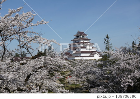 桜の花が咲き誇る鶴ヶ城公園　鶴ヶ城桜まつりの風景 138706590