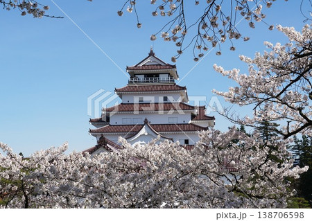 桜の花が咲き誇る鶴ヶ城公園 鶴ヶ城桜まつりの風景 桜の花が咲き誇る鶴ヶ城公園 鶴ヶ城桜まつりの風景 138706598