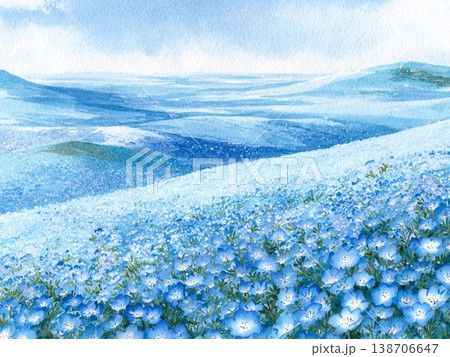 青空の下に広がるネモフィラ畑の水彩画風風景イラスト 138706647
