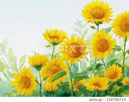 青空の下に広がるひまわり畑の水彩画風風景イラスト 138706714