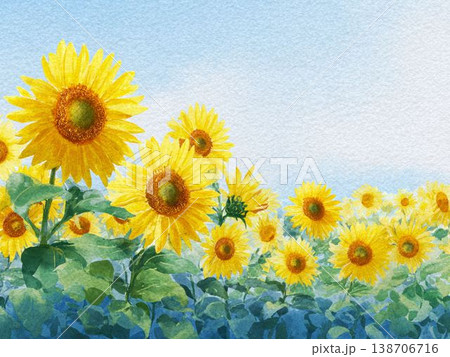 青空の下に広がるひまわり畑の水彩画風風景イラスト 138706716