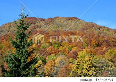北マケドニア、マブロヴォ国立公園近郊、紅葉、黄葉 北マケドニア、マブロヴォ国立公園近郊、紅葉、黄葉 138706793