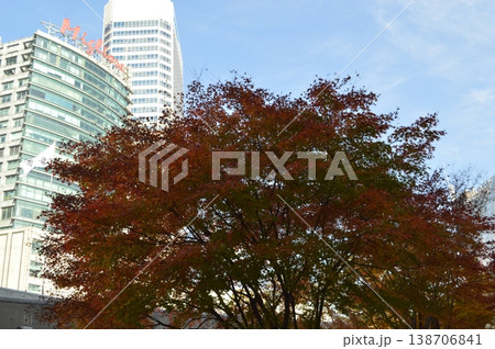 韓国 ソウル 東大門付近の紅葉 韓国 ソウル 東大門付近の紅葉 138706841