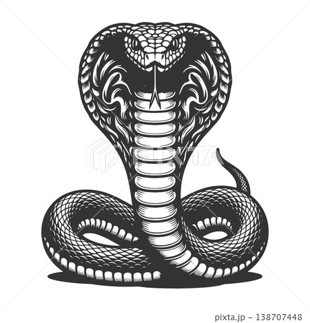 Cobra Snake With Hood Raised raster illustration Cobra Snake With Hood Raised raster illustration 138707448