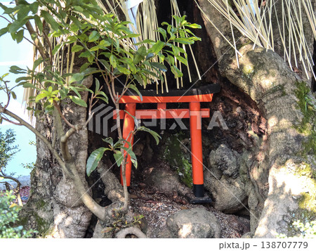 養源院 138707779