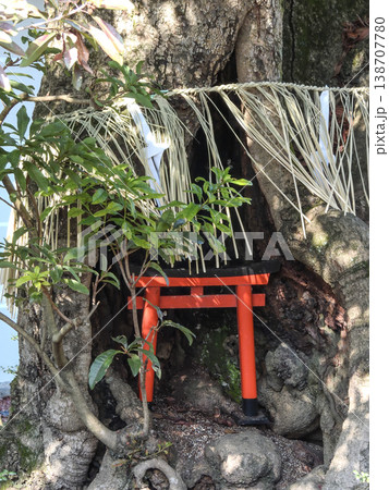 養源院 138707780