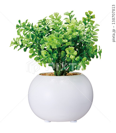 白背景に切り抜かれた白い丸い鉢に入った観葉植物(フェイクグリーン) 白背景に切り抜かれた白い丸い鉢に入った観葉植物(フェイクグリーン) 138707813